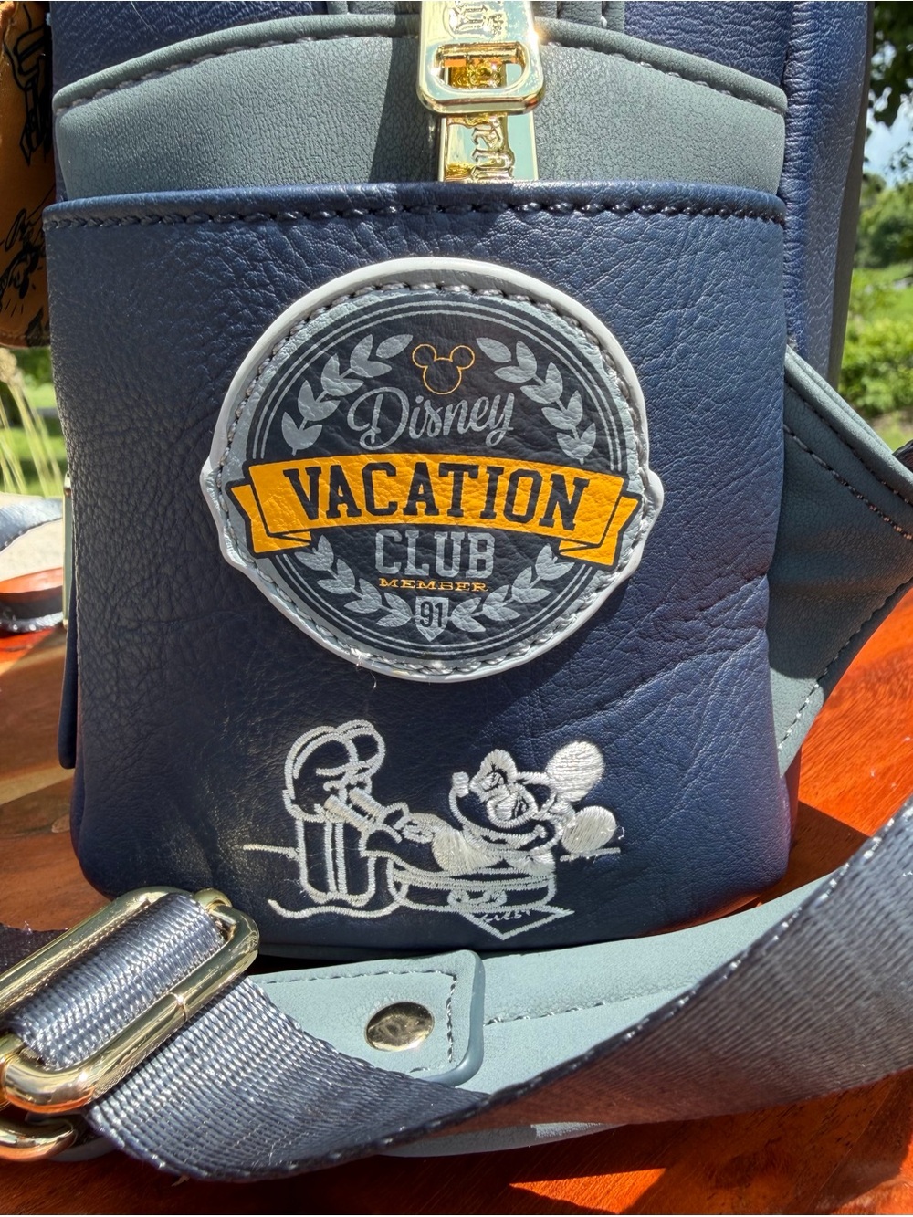 Loungefly Disney Vacation Club DVC 30th Anniversary Backpack EUC - Picture 13 of 16
